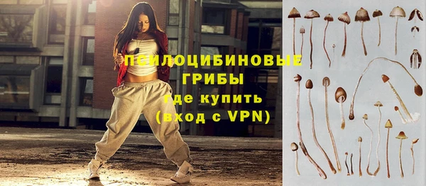 хмурый Костерёво